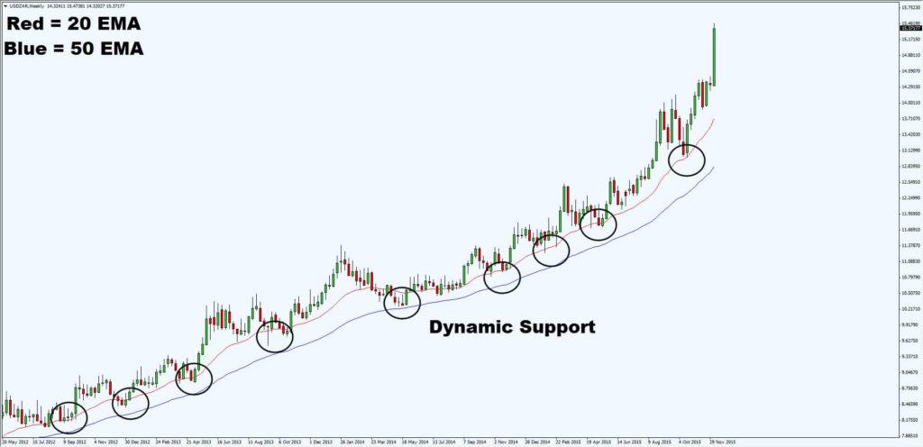 dynamic support2