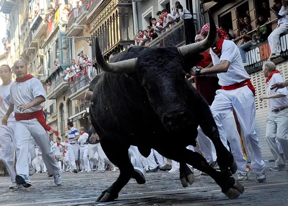 How To Trade in A Bull Market
