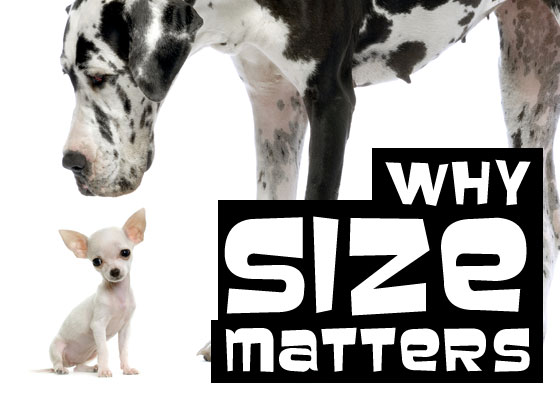 why size matters