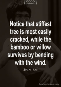 Notice that stiffest tree is most easily cracked while the bamboo or willow survives by bending with the wind