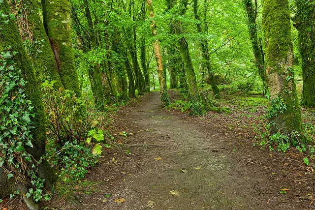 10 Pathways to Trading Success