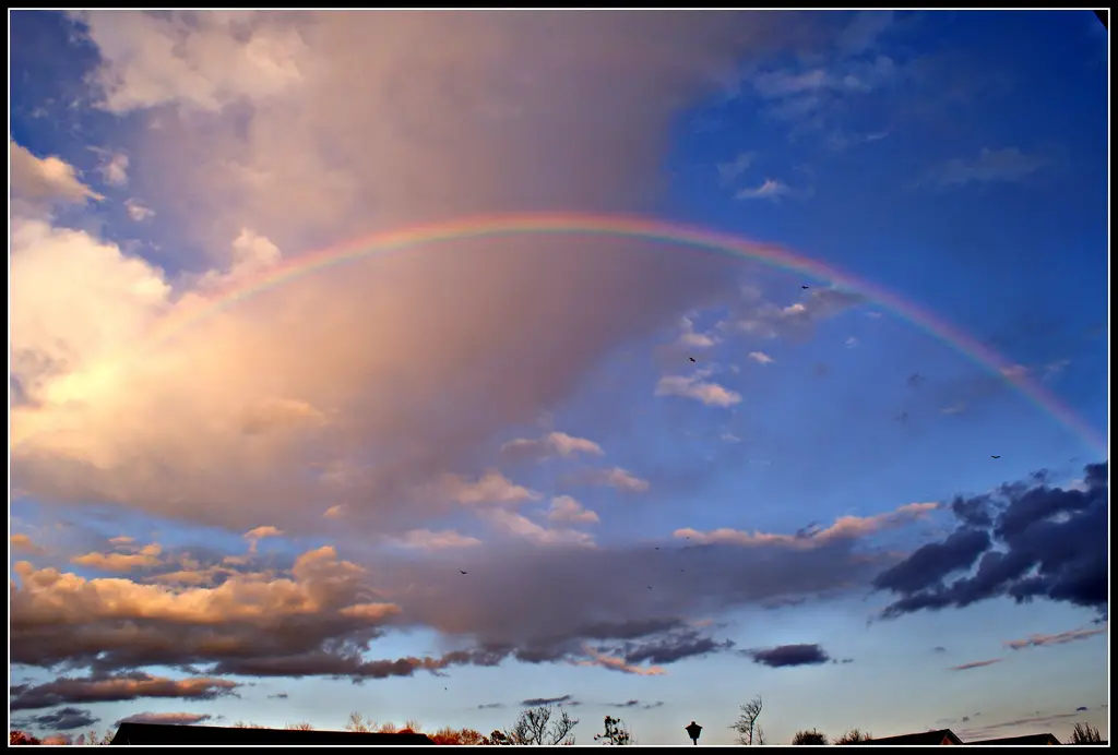What Rainbows Can Teach Us About Trading What Rainbows Can Teach Us About Trading