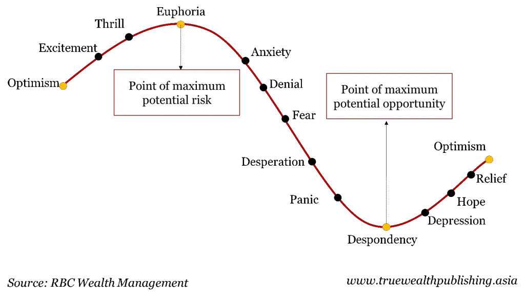 The Stock Market Risk Cycle Explained