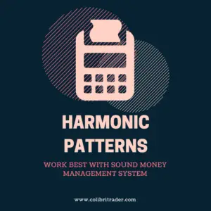 Harmonic Trading Patterns