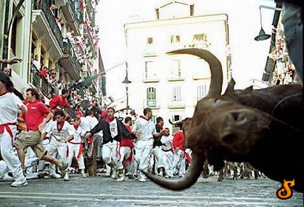 7 Errors Traders Make in Bull Markets
