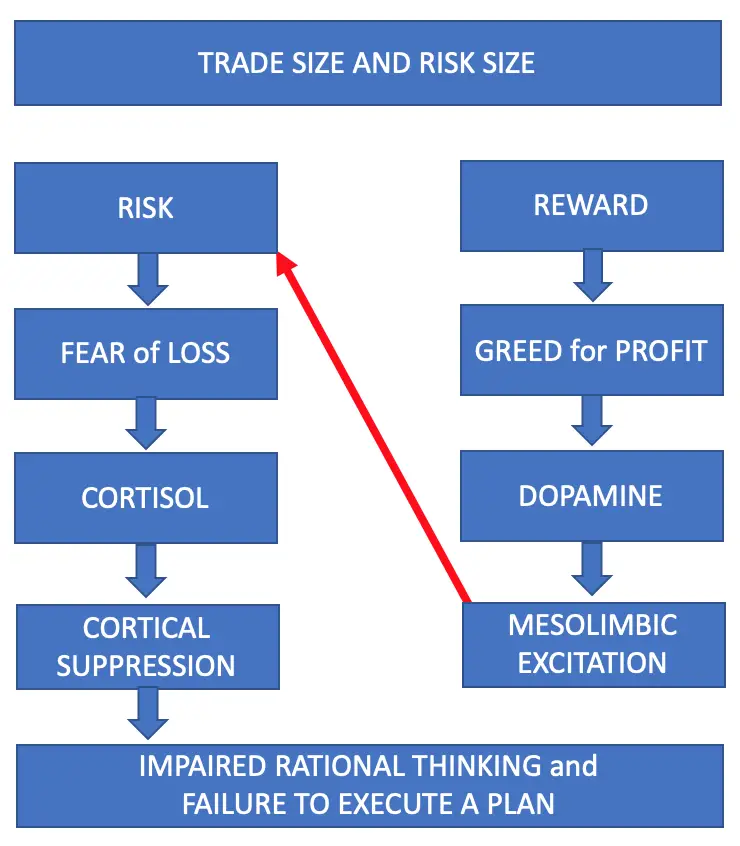 The Neuroscience Behind Trade Size