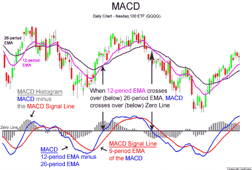 What a MACD Indicator Crossover Signals