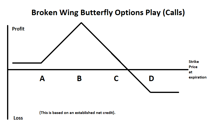 Broken Wing Butterfly