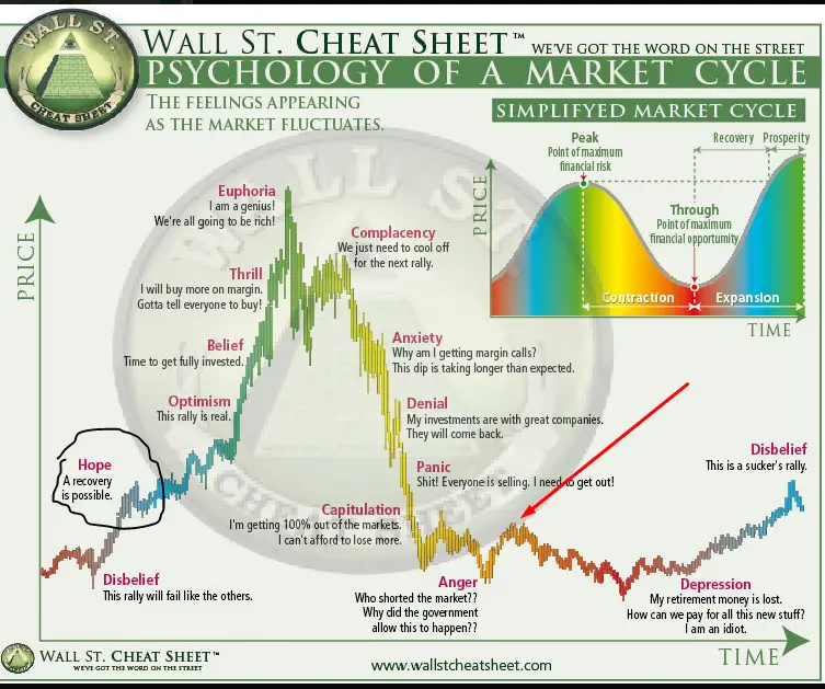 Psychology of a Market Cycle