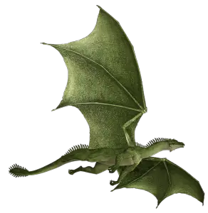 Dragon Portfolio
