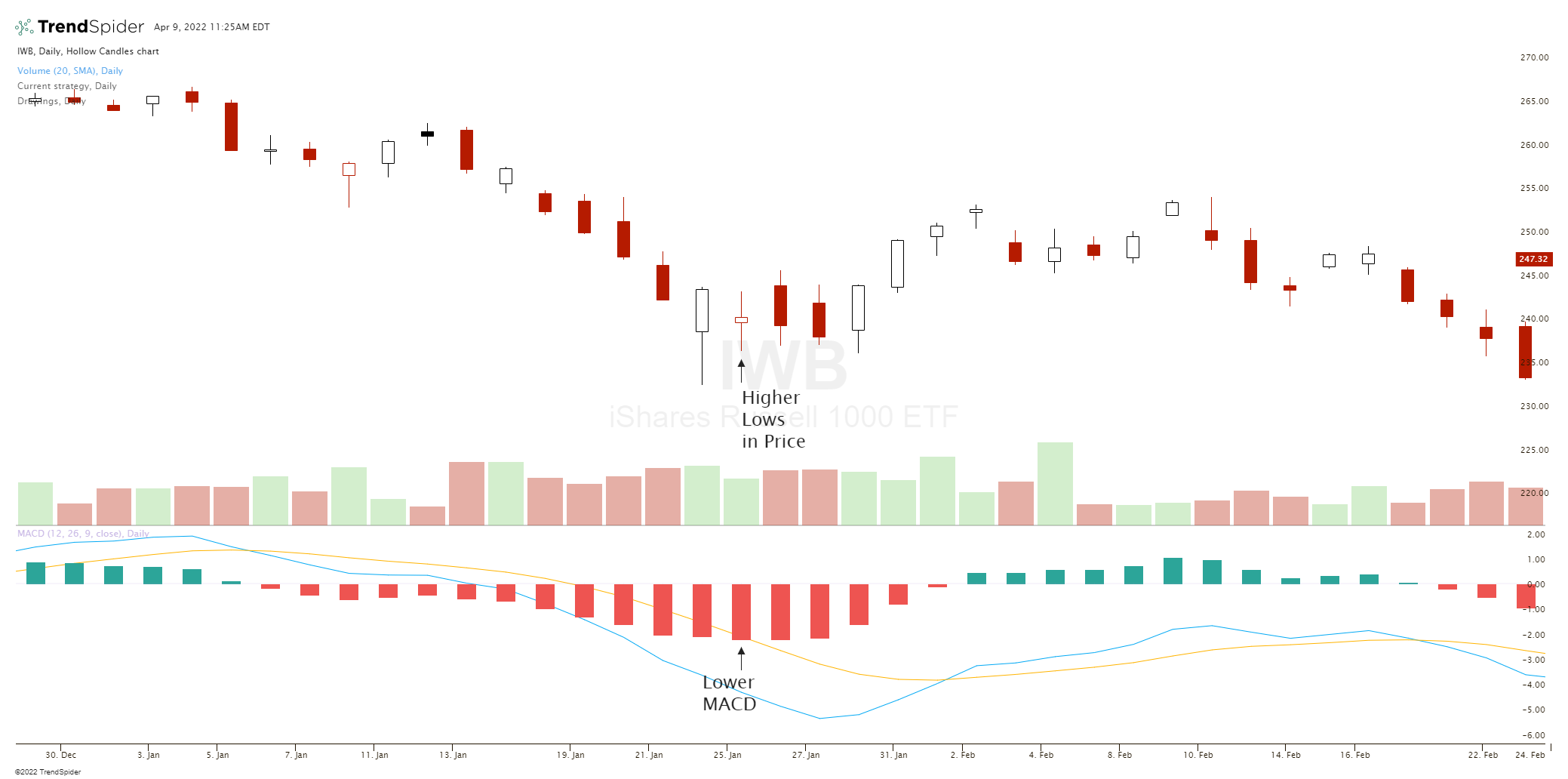 Hidden Bullish Divergence