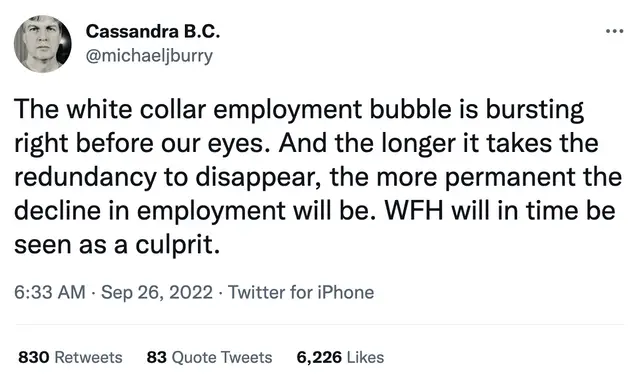 Burry Labor market Tweet